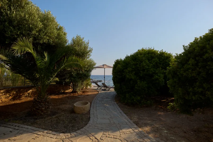 Olive Groves — Villa Notos Lesvos