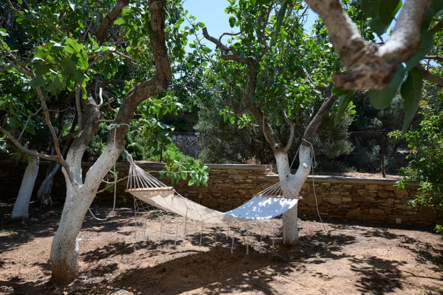 Afternoon Shade — Villa Notos Lesvos